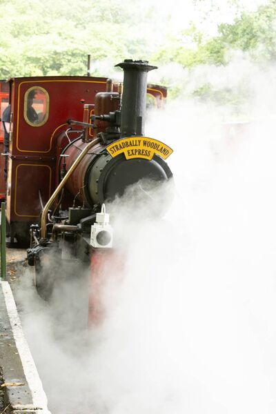 A steam train on display at the launch of the National Steam Rally 2026. A steam train on display at the launch of the National Steam Rally 2026.