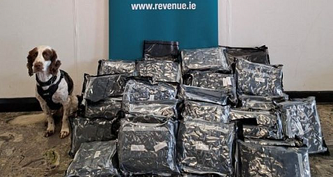 Cannabis worth €500,000 seized at Shannon Airport