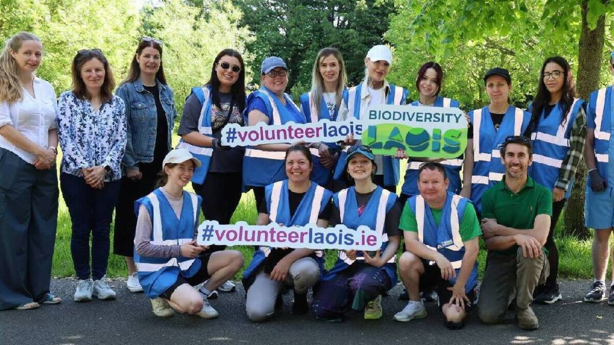 Midlands Park Hotel staff volunteer at Portlaoise park