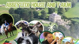 <p>Abbeyleix Family Day </p> <p>Abbeyleix Family Day </p>
