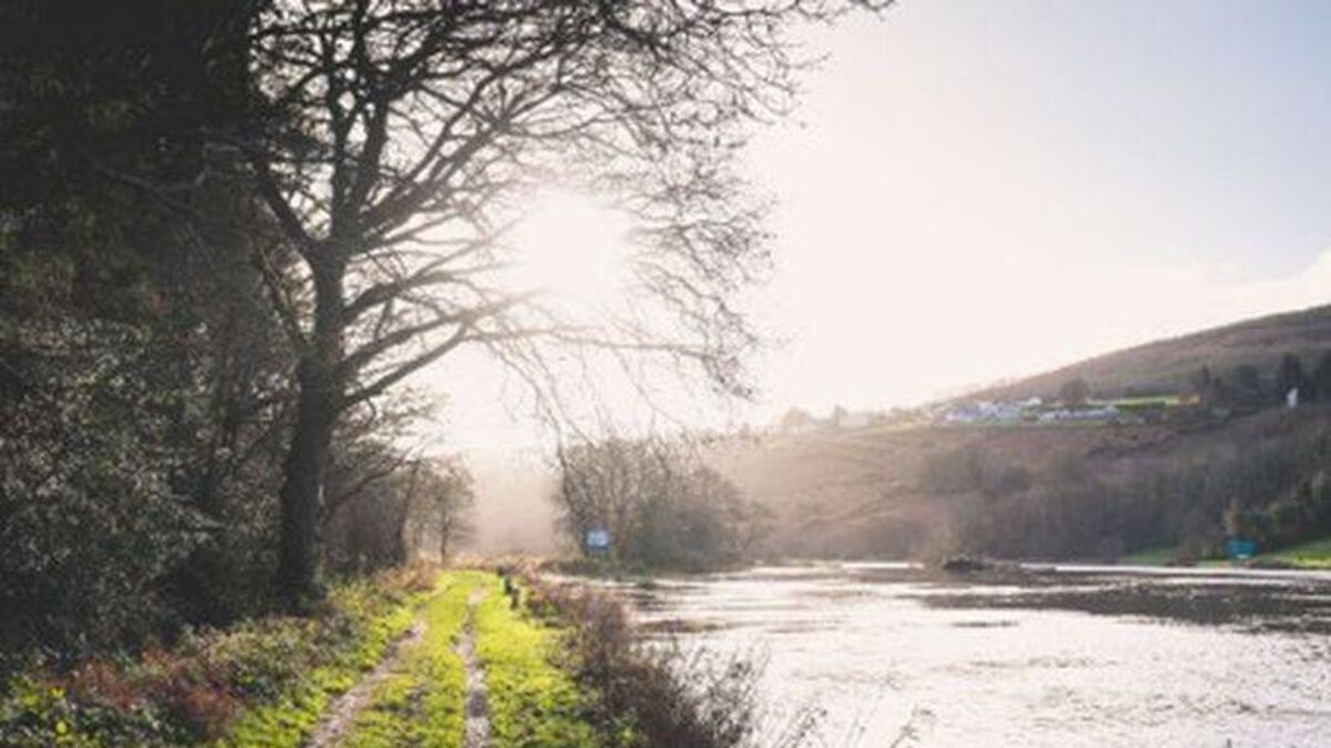 Calls to dredge parts of river Barrow in Laois