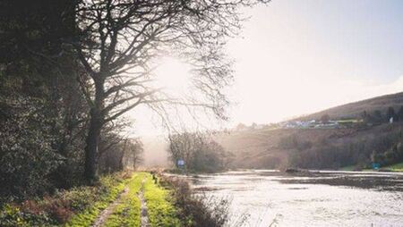 Calls to dredge parts of river Barrow in Laois