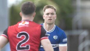 <p>Robert Tyrrell (Laois) in possession against Down on Saturday Photo: Denis Byrne</p> <p>Robert Tyrrell (Laois) in possession against Down on Saturday Photo: Denis Byrne</p>