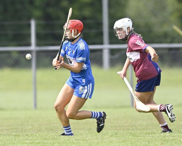 Laois's Grainne Delaney strikes for a score against Westmeath Photo: John McCauley Laois's Grainne Delaney strikes for a score against Westmeath Photo: John McCauley