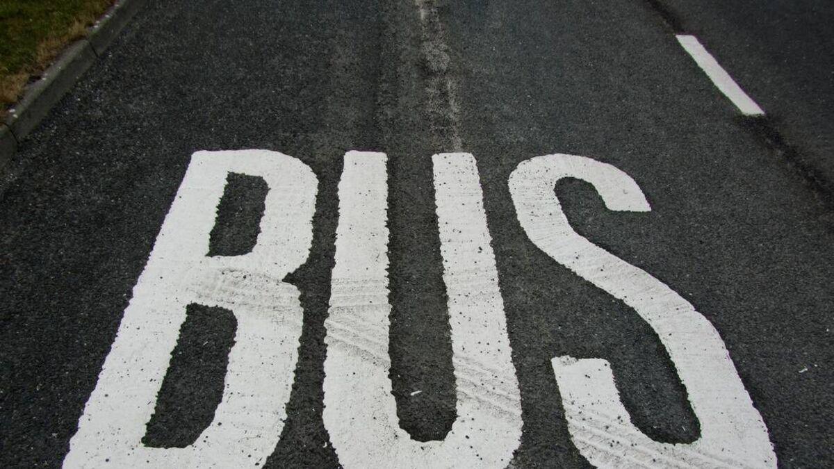 Laois bus operator fined €3,000 for motoring offences