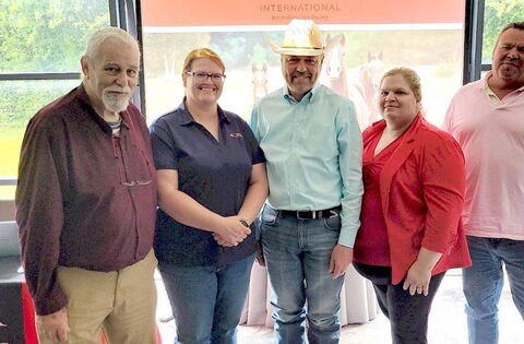 Irish Quarter Horse Association helps drive growth of Western riding in Ireland