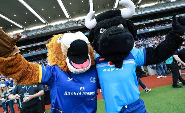 Mascots Leo the Lion and Bulletjie the Bull share an embrace before the game. Photo: INPHO/Dan Sheridan Mascots Leo the Lion and Bulletjie the Bull share an embrace before the game. Photo: INPHO/Dan Sheridan
