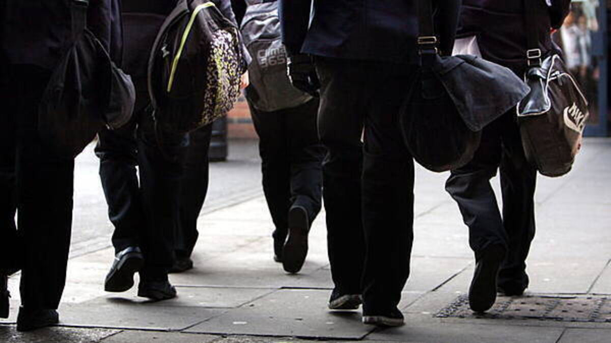 'No one is going to tell me how to parent': Dublin mother fined for kids' 500-day school absences