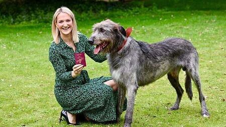 Wolfhound features on new ‘unmistakably Irish’ passport