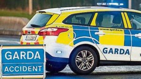 Laois gardaí appeal for witnesses after elderly man dies in tragic road incident 
