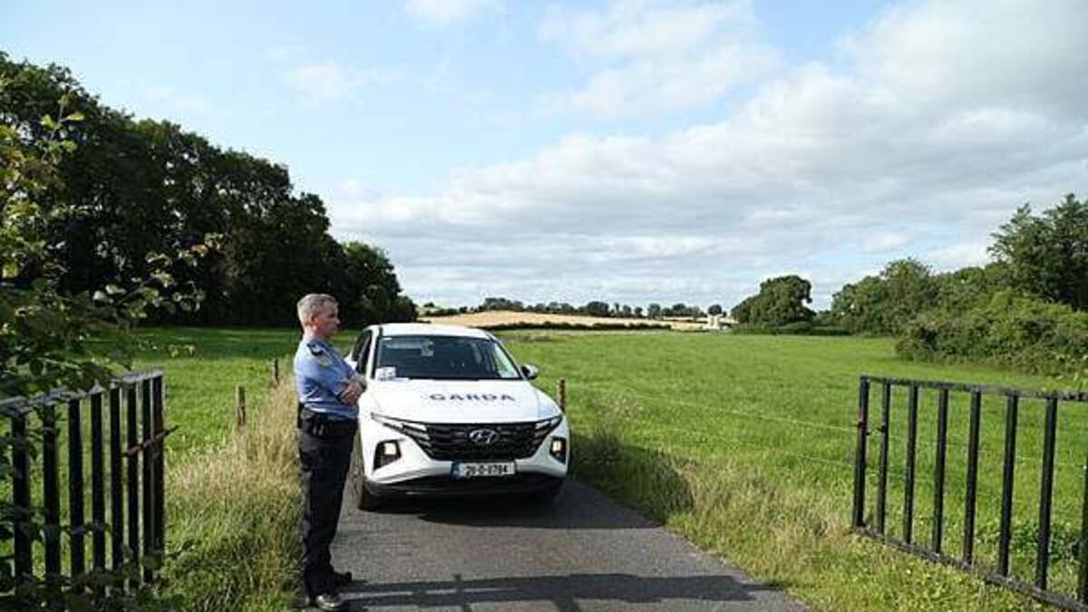 Fatal helicopter crash in Westmeath due to loss of control during training manoeuvre