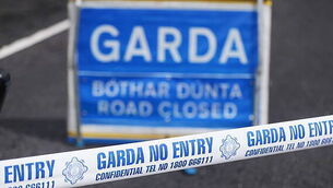 ‘Fully independent’ probe needed following Donaldson revelations, says Alliance