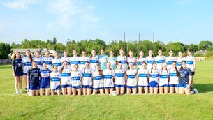 <p>The Laois U/16 team that defeated Tipperary to advance to the All-Ireland 'B' final	 Photo: Paul Dargan</p>