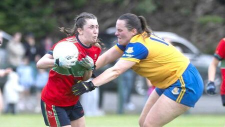 Dundon and Nerney goals fire Timahoe into final 