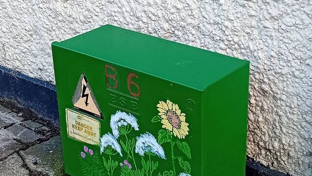 <p>One of the utility boxes after it received a colourful makeover </p>