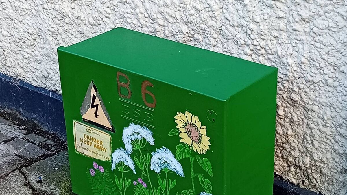 Floral murals add a splash of colour to Mountmellick’s utility boxes