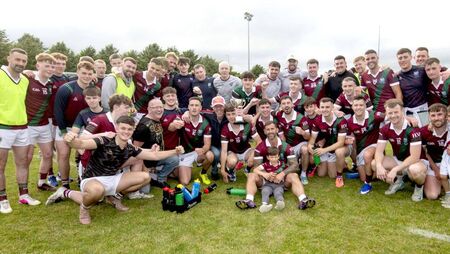 Portarlington hit top gear to clinch Division 2 success 