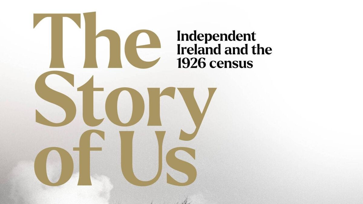 Summer series of Irish history slated for Portlaoise libraries this summer