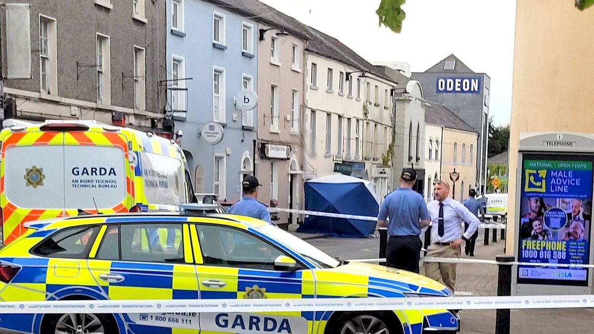 Man charged with murder of woman in Portlaoise to appear in court this morning