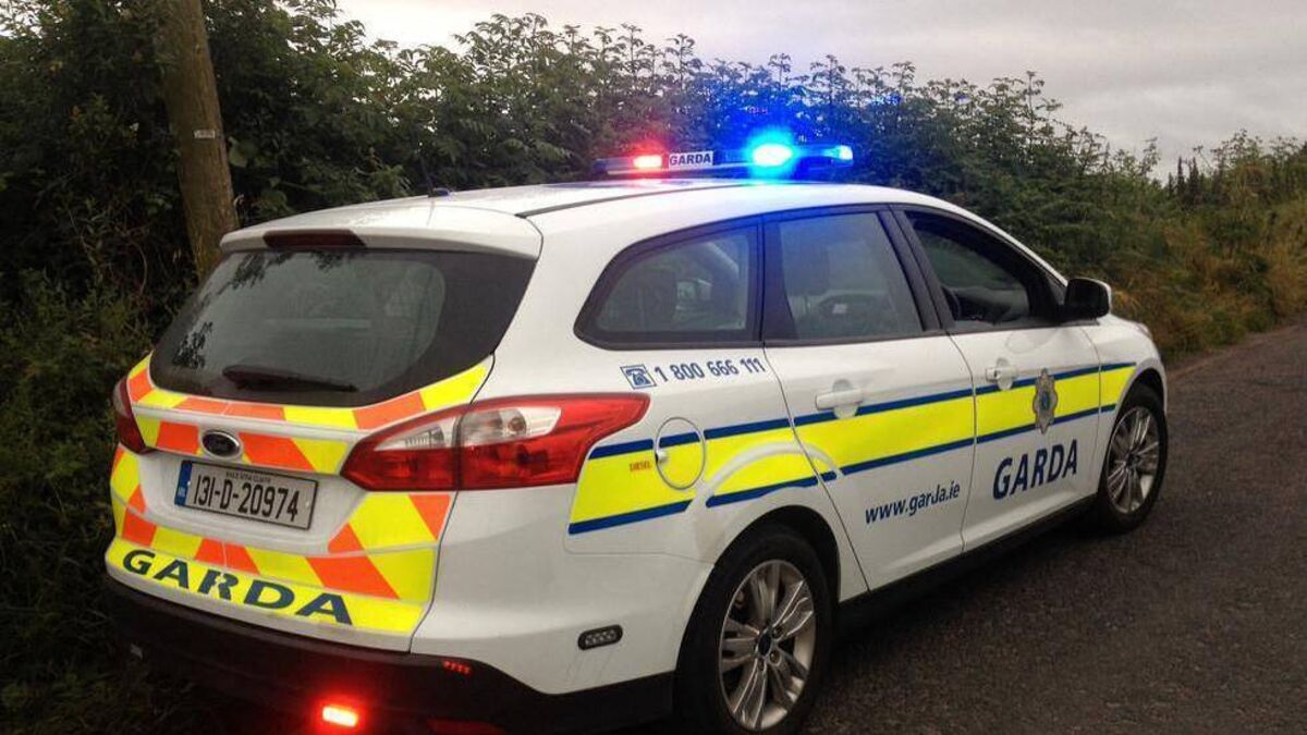 Four teens arrested after Graiguecullen crash