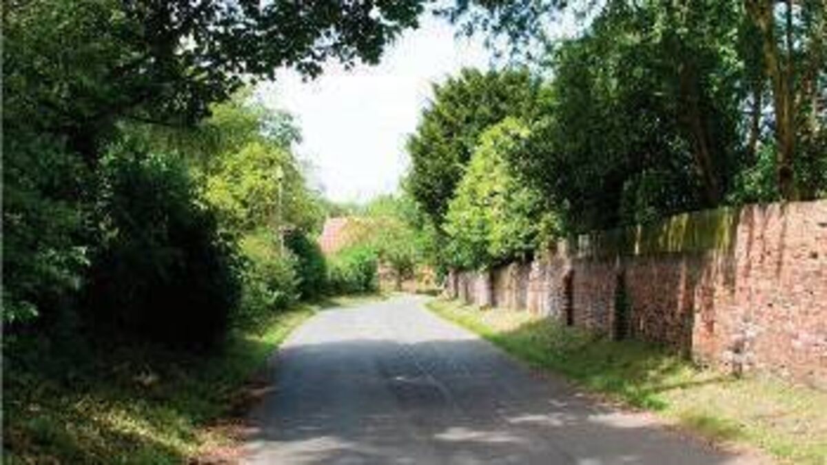 Council works in progress to trim hedgerows at busy junctions
