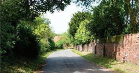 Council works in progress to trim hedgerows at busy junctions