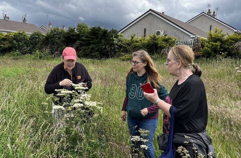 The funding will increase biodiversity around the Smiths Field, Cullenbeg and Kirwan Park areas