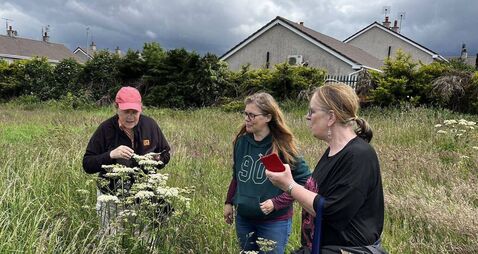 Mountmellick is buzzing with biodiversity grant
