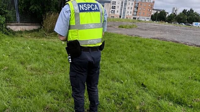<p>Image of an NSPCA officer from the NSPCA Facebook page</p>