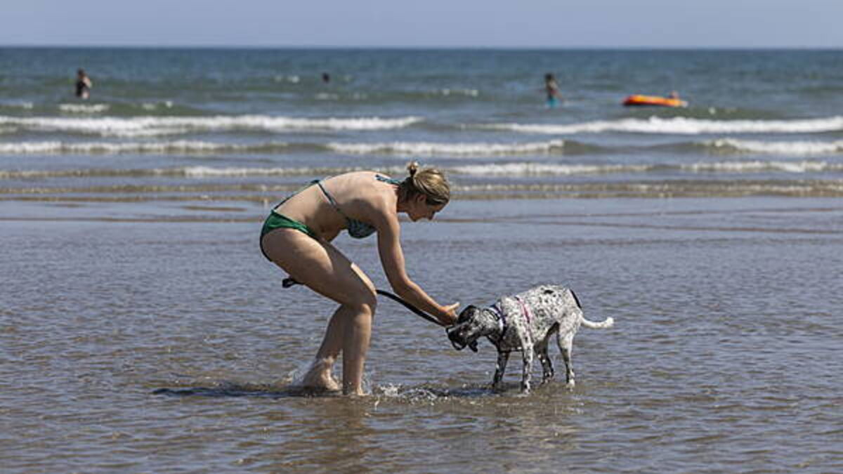 Hot weather advisory extended until late next week