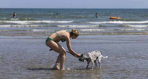 Hot weather advisory extended until late next week