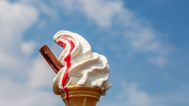 Gardaí object to bail for Laois man who allegedly stole €2.50 ice cream cone