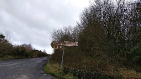 Council urged to install traffic calming measures at Laois beauty spot