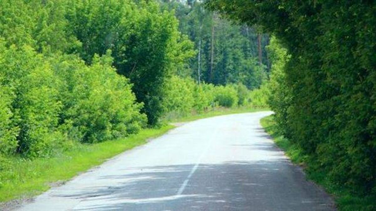 Work in progress to trim Laois hedgerows at busy junctions