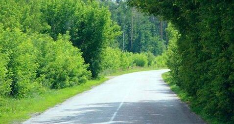 Work in progress to trim Laois hedgerows at busy junctions