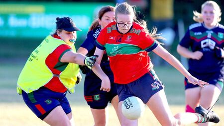 Timahoe power to LGFA Division 4 League title 