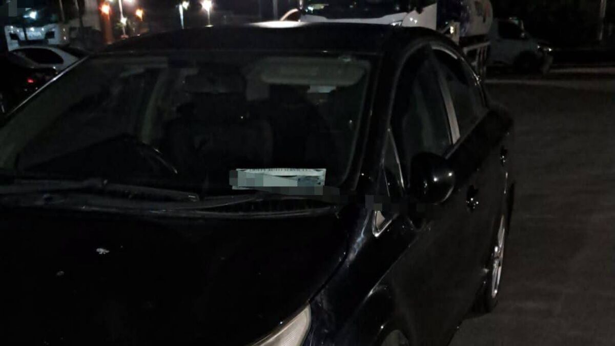 Driver claimed doll was sick baby after being caught speeding by gardaí