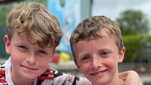 Pets on public transport consultation closes today Pets on public transport consultation closes today