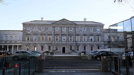 TD helps disarm man attempting to harm himself outside Dáil