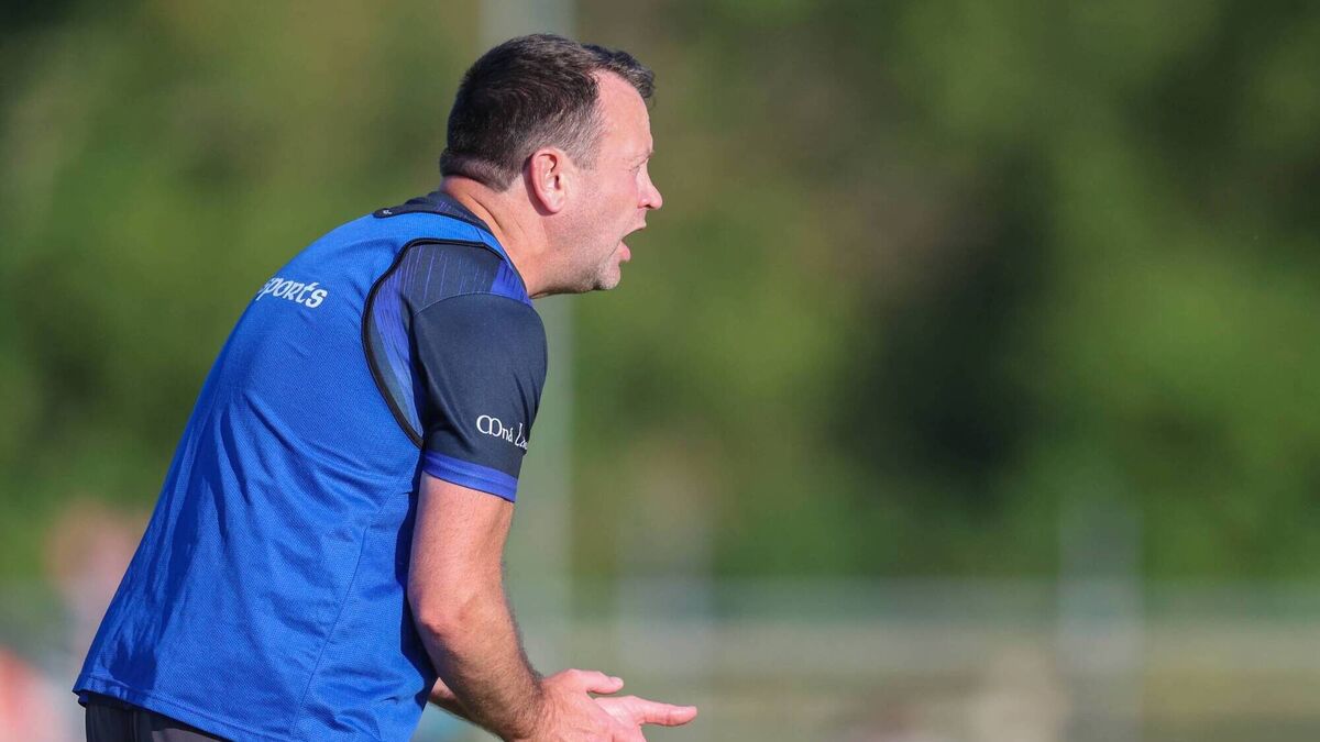 It has still been a campaign to remember for Laois