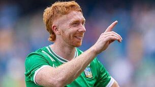 GAA: Limerick continue Munster charge, Dublin and Louth set for Leinster decider