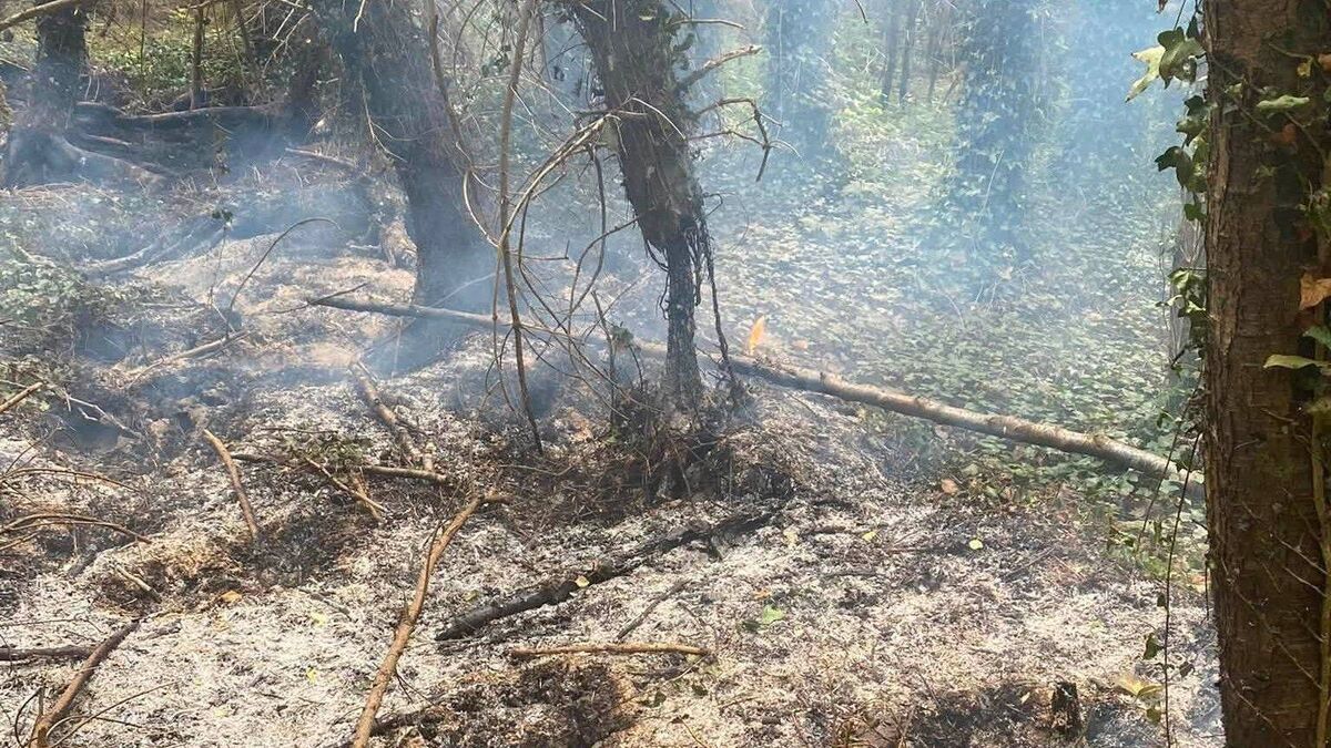 Firefighters tackle blaze at Laois beauty spot