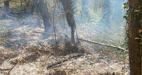 Firefighters tackle blaze at Laois beauty spot