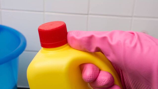 Laois man carried bottles of bleach to protect his sister, court told
