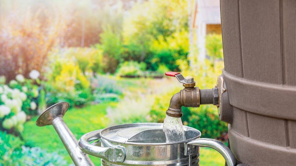 Laois homeowners issued with Water Conservation Order