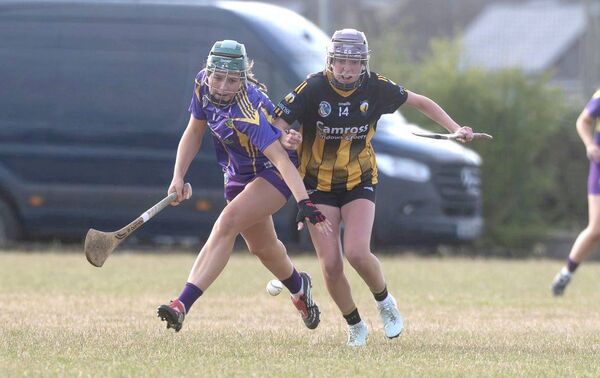 Jessie Quinlan (St Brigid's) and Erin Walsh (Camross) compete for possession Photo: Denis Byrne Jessie Quinlan (St Brigid's) and Erin Walsh (Camross) compete for possession Photo: Denis Byrne
