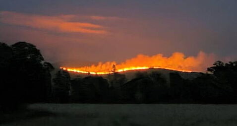 Smoke from Tipperary wildfire spreads across Cork as Coillte appeal to public to stay away