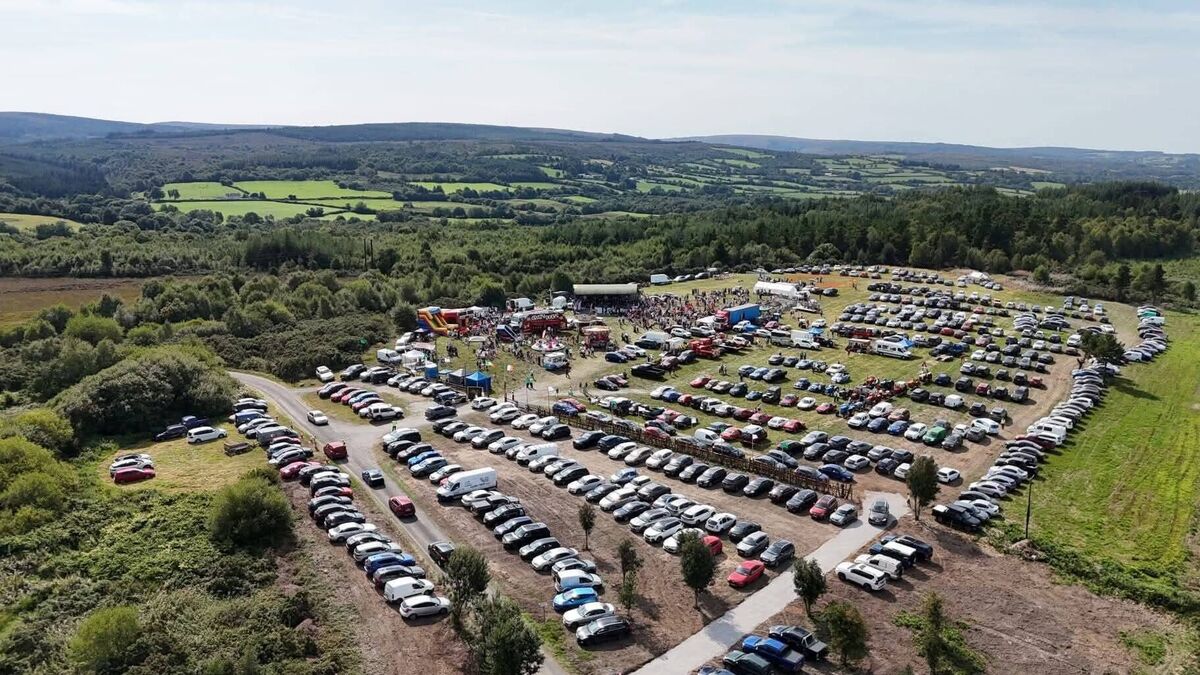 Oldest festival in Laois gets welcome windfall