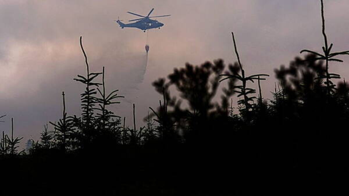 Hopes Tipperary wildfire could be quelled in coming days