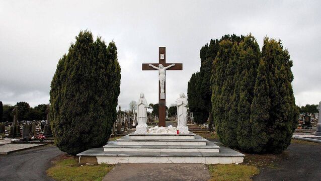 Portlaoise Court: Juvenile appears in court over alleged involement in Laois cemetery brawl Portlaoise Court: Juvenile appears in court over alleged involement in Laois cemetery brawl